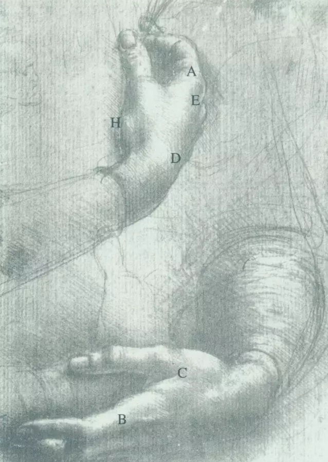 「素描入門教程」向達(dá)芬奇學(xué)習(xí)如何畫手,干貨！