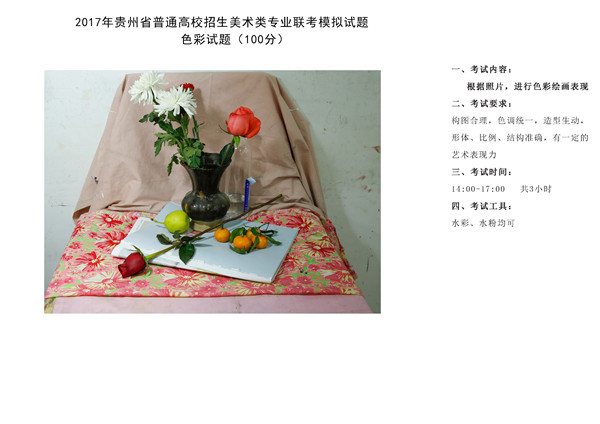 2017年全國(guó)各省市美術(shù)聯(lián)考【色彩】模擬考試考題匯總