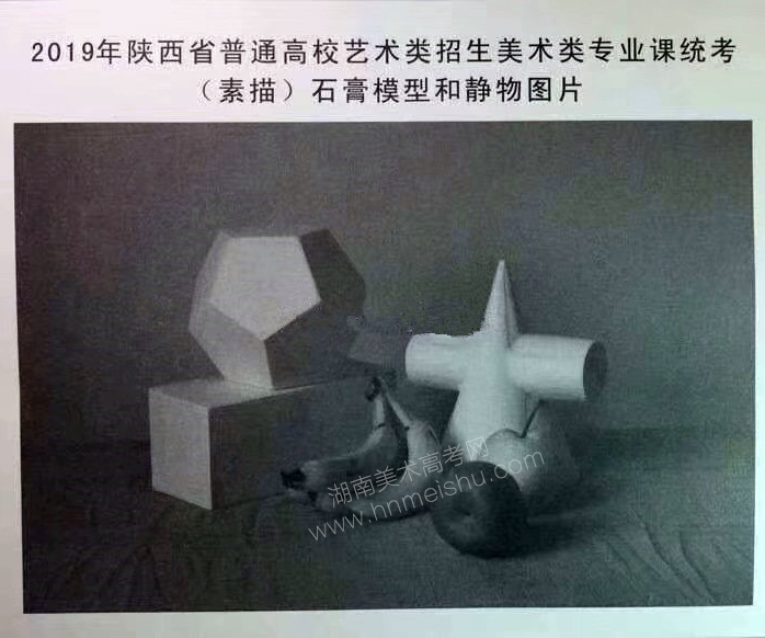 2019年陜西省美術(shù)聯(lián)考素描統(tǒng)一考試題目
