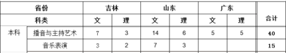 湖南信息學(xué)院2019年藝術(shù)類分省招生計(jì)劃