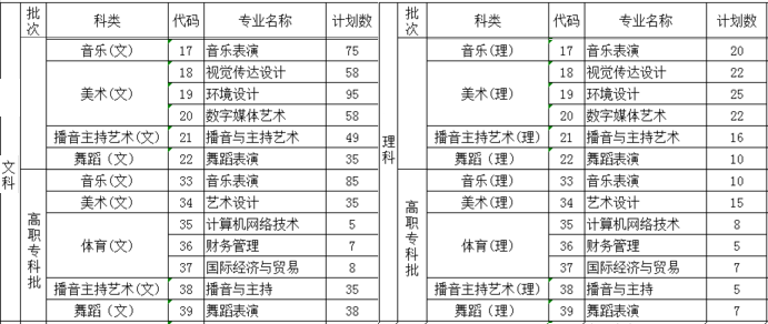湖南信息學(xué)院2019年藝術(shù)類分省招生計(jì)劃